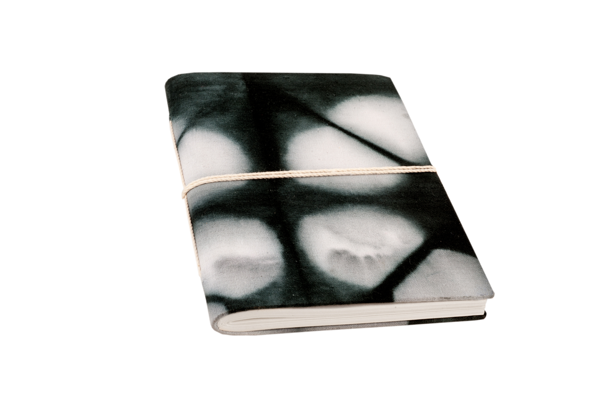 ntv1305_c45ff886-3ff4-49f9-8616-c13ec9a2d301-4x