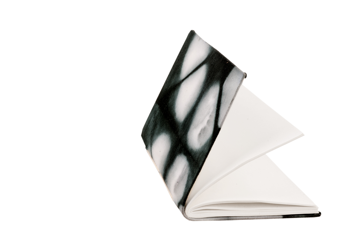 ntv1308_6d354eda-b20d-47fa-a512-f253e90d0cdf-4x