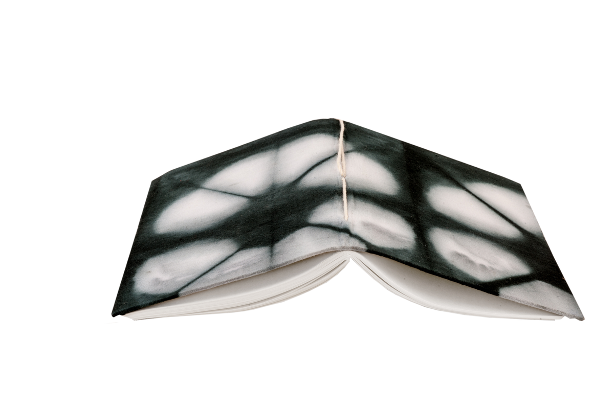 ntv1309_bf2c19f5-2f33-447b-8b39-5f59be465708-4x