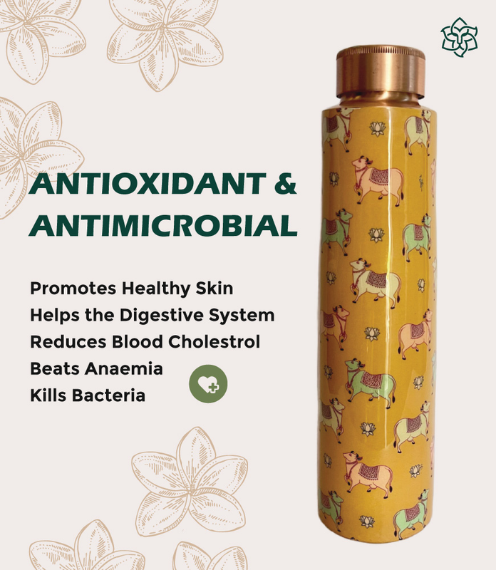 e154e7a2-aea3-4e16-8024-40ca8806dbc9_3e35fcc5-d851-46df-b60f-610829ee526d-4x